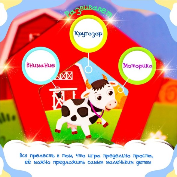 Досочки Сегена «Кто где живёт»