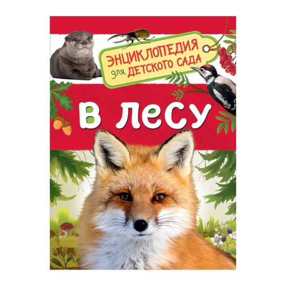 Энциклопедия для детского сада «В лесу»