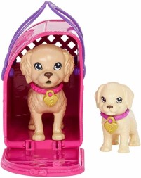 Кукла Barbie Pup Adoption с аксессуарами и функцией смены цвета, 2 питомца, переноска и 10 аксессуаров
