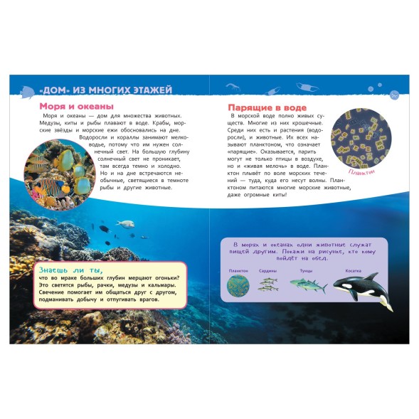 Энциклопедия для детского сада «Подводный мир»