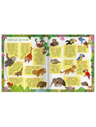 Книжки с наклейками 50 шт. Приключения в разноцветных джунглях. Айрис-пресс