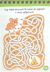 Умный блокнот. 75 задачек для зоркого глаза 6+. Айрис-пресс