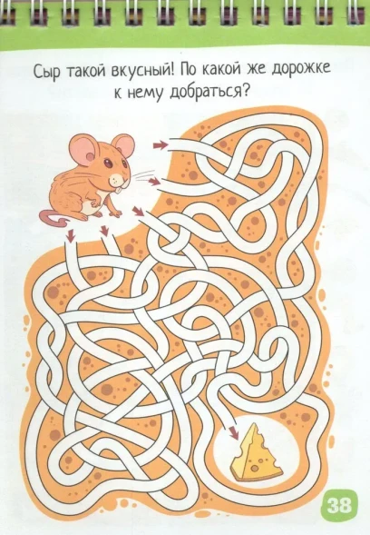 Умный блокнот. 75 задачек для зоркого глаза 6+. Айрис-пресс