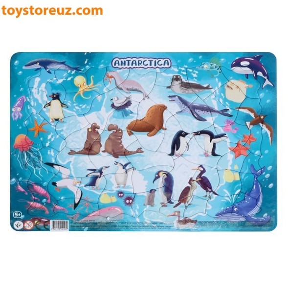 Пазл в рамке, 53 элемента - Антарктида