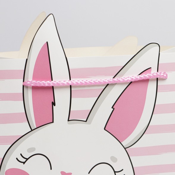 Пакет подарочный, упаковка, «Best day», 25 х 26 х 10 см