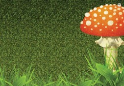 Асборн - карточки. Стереокартинки для всей семьи. Робинс