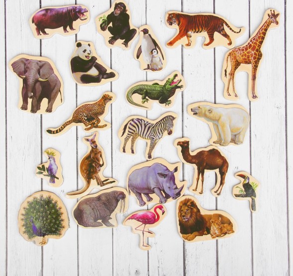 Деревянные магниты «Дикие животные», набор 20 шт.