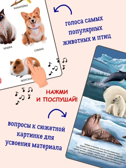 50 звуков. Животные. Робинс