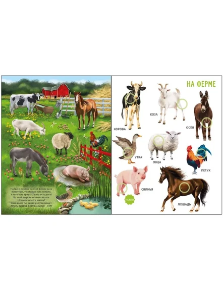 50 звуков. Животные. Робинс