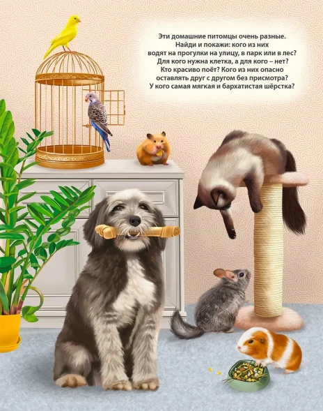 50 звуков. Животные. Робинс