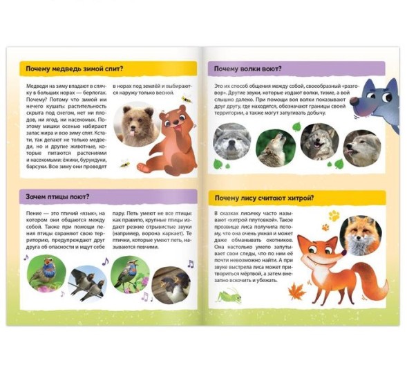 Книга обучающая «Почемучки: о тебе и твоём теле», 16 стр.