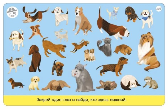 Асборн-карточки. Тренируем зрение. Робинс