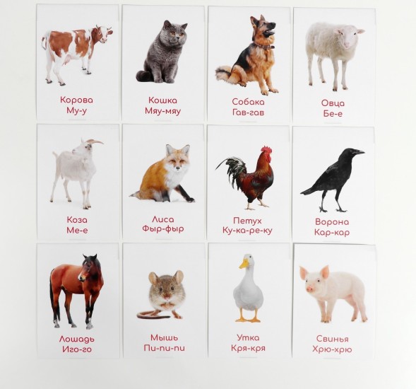 Обучающие карточки по методике Глена Домана «Что говорят животные?», 12 карт, А6, в коробке