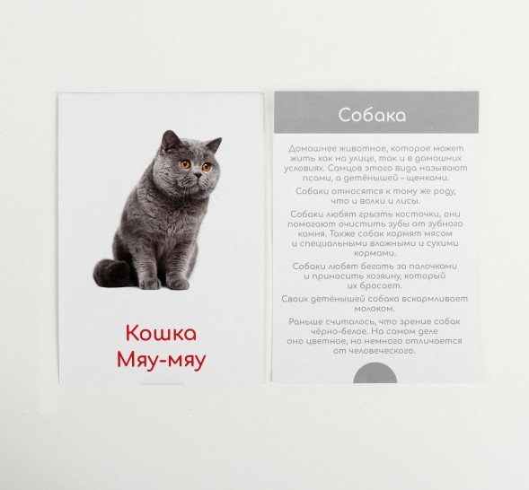 Обучающие карточки по методике Глена Домана «Что говорят животные?», 12 карт, А6, в коробке