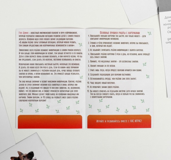 Обучающие карточки по методике Глена Домана «Что говорят животные?», 12 карт, А6, в коробке