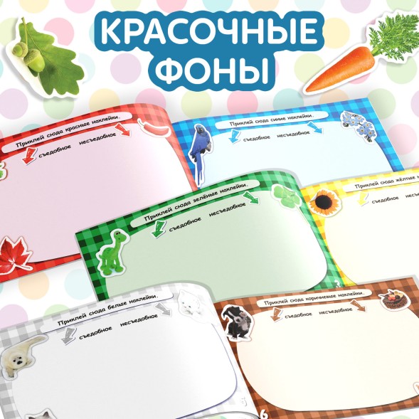 100 наклеек «Цвета», 12 стр.