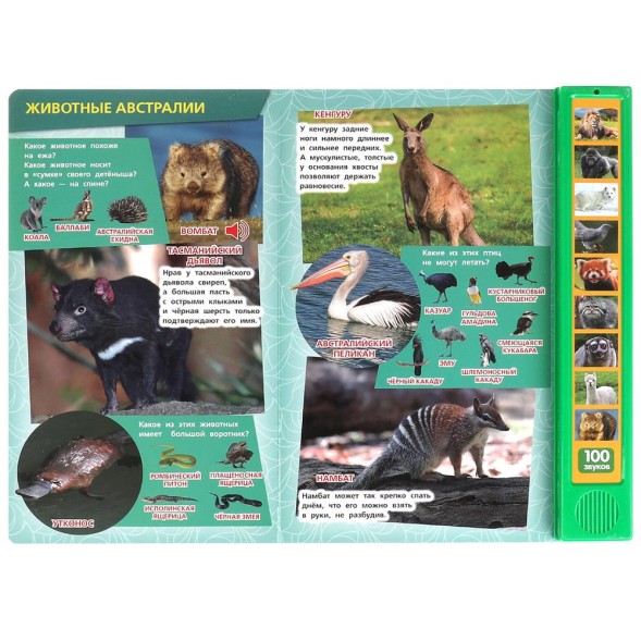 100 голосов животных (10 зв.кнопок, 100 звуков), Умка