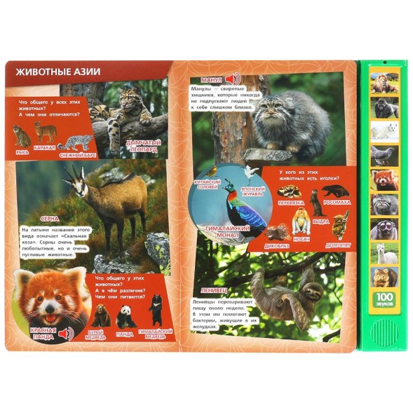 100 голосов животных (10 зв.кнопок, 100 звуков), Умка