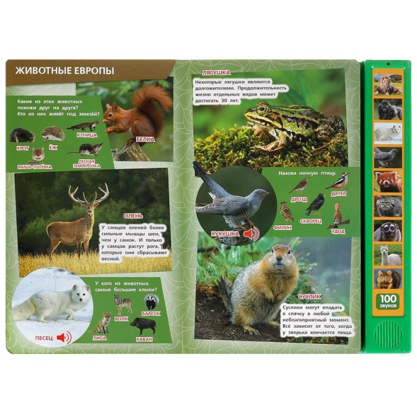 100 голосов животных (10 зв.кнопок, 100 звуков), Умка