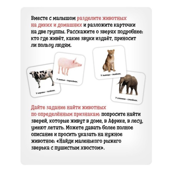 Полезный чемоданчик «Животные и их детёныши», пластиковые фишки, карточки