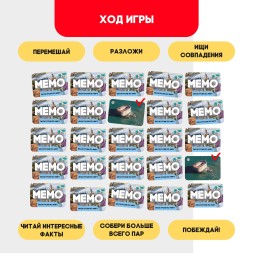 Мемо «Экскурсия по миру»