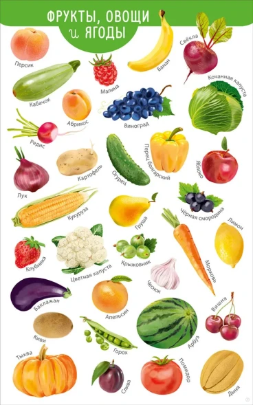 Мои первые развивающие плакаты (с картой достижений и наклейками). Робинс