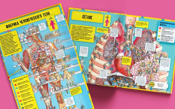 Невероятное тело человека. Как устроен организм внутри, 56 стр