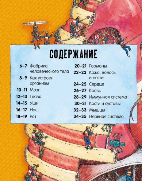 Невероятное тело человека. Как устроен организм внутри, 56 стр