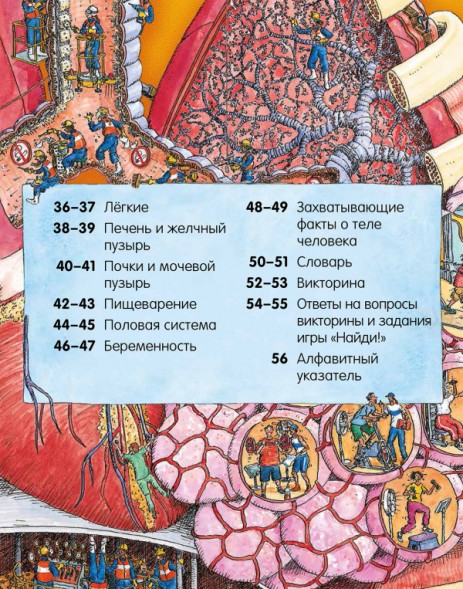 Невероятное тело человека. Как устроен организм внутри, 56 стр