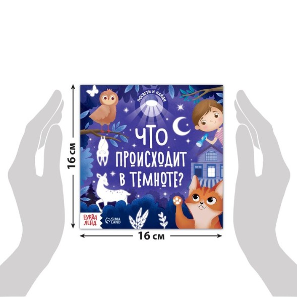 Книга с фонариком «Что происходит в темноте?», 24 стр.