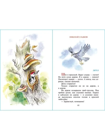 Рассказы о животных. Школьная библиотека