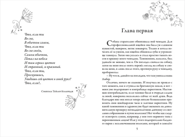 Зильбер. Первый дневник сновидений, Гир Керстин. Робинс