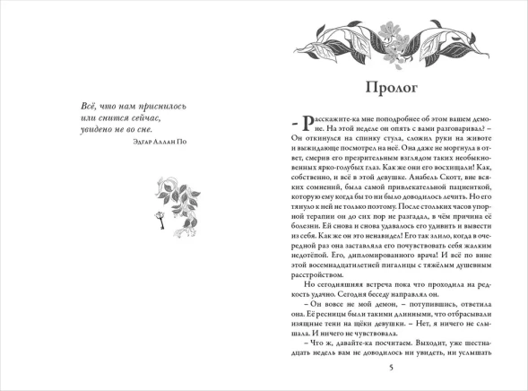Зильбер. Третий дневник сновидений, Гир Керстин. Робинс