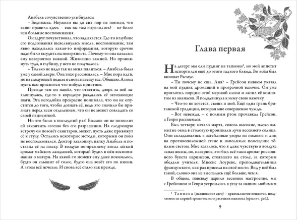 Зильбер. Третий дневник сновидений, Гир Керстин. Робинс