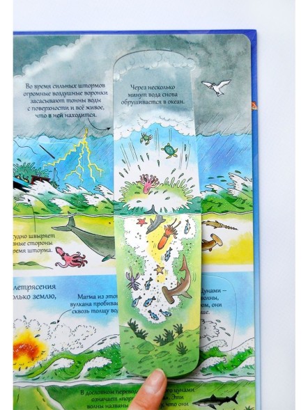 Открой тайны подводного мира. Книга с окошками.