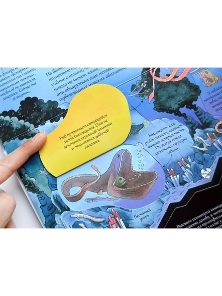 Открой тайны подводного мира. Книга с окошками.