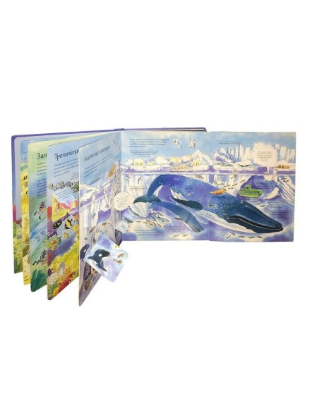 Открой тайны подводного мира. Книга с окошками.