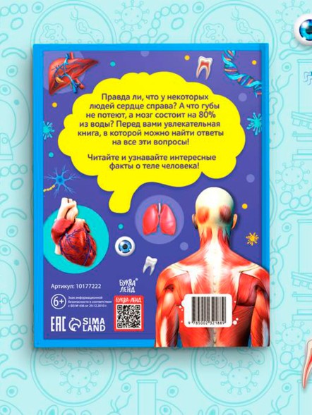 Энциклопедия в твёрдом переплёте «200 фактов о теле человека», 48 стр.