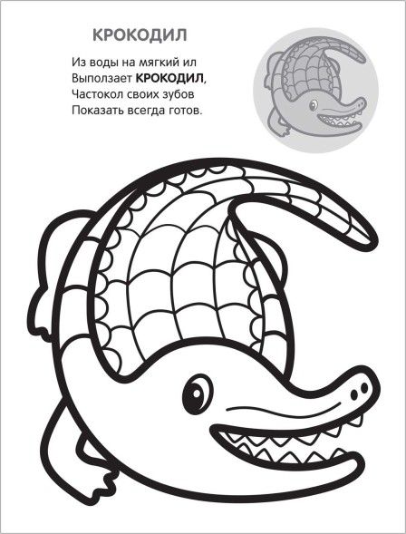 В Африке (Раскрась по образцу), раскраска с наклейками