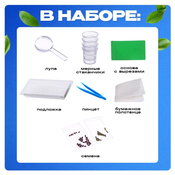 Набор для опытов «Экоферма», своими руками