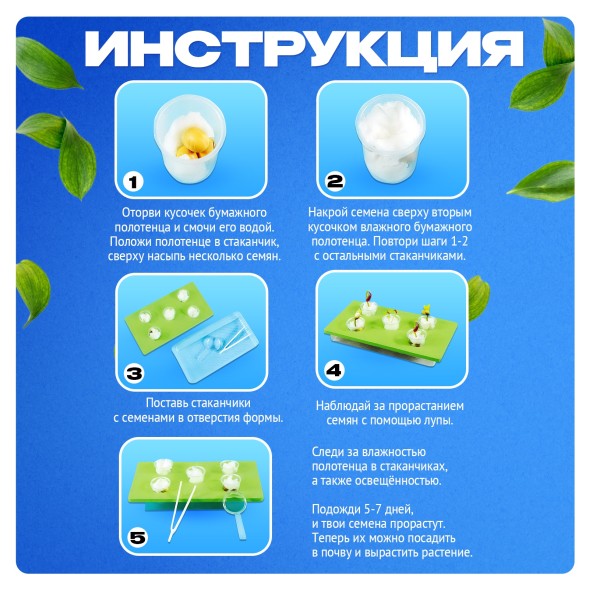 Набор для опытов «Экоферма», своими руками