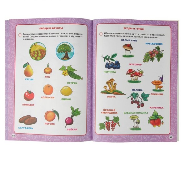 Годовой курс занятий 5-6 лет, Жукова М. А.