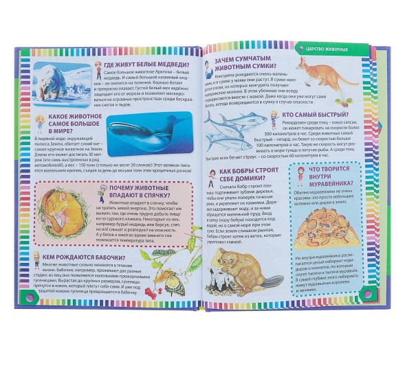 Первая энциклопедия «Что? Когда? Зачем? Почему?»