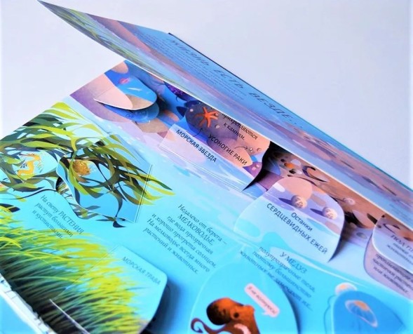 Открой тайны. Океаны. Книга с окошками