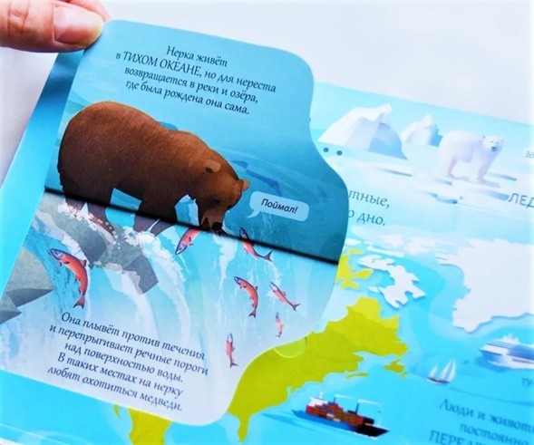 Открой тайны. Океаны. Книга с окошками