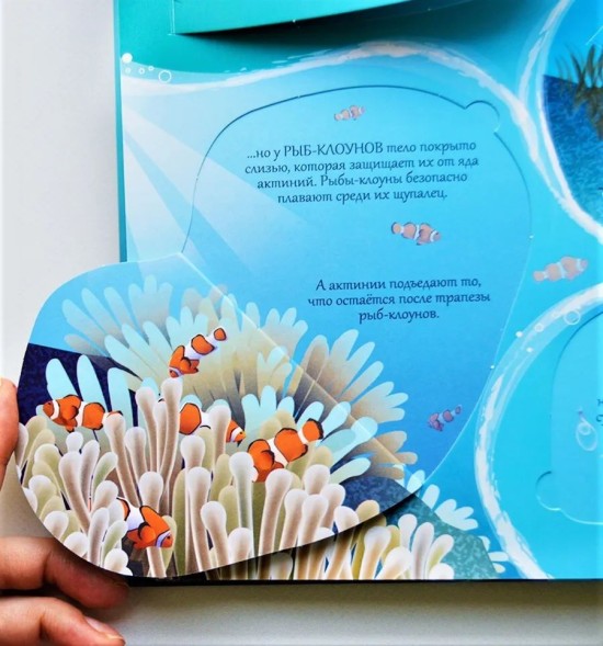 Открой тайны. Океаны. Книга с окошками