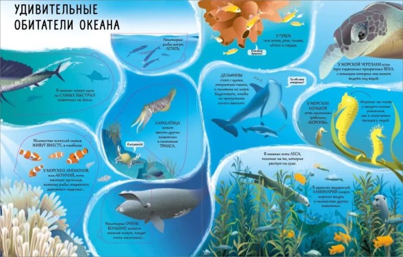 Открой тайны. Океаны. Книга с окошками