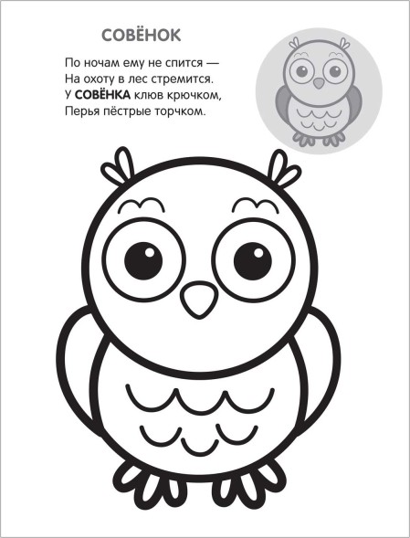 В лесу (Раскрась по образцу), раскраска с наклейками