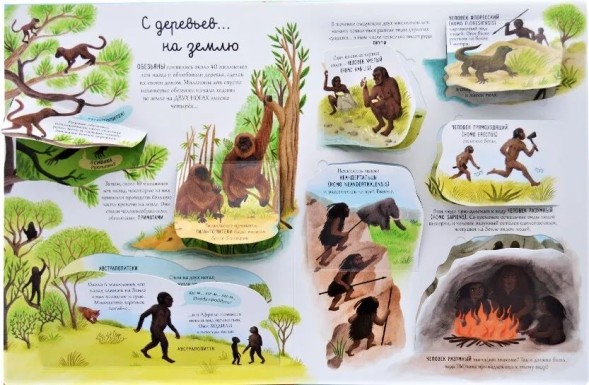 Открой тайны. Эволюция. Книга с окошками