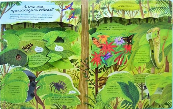 Открой тайны. Эволюция. Книга с окошками